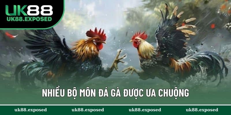 Nhiều bộ môn đá gà được ưa chuộng