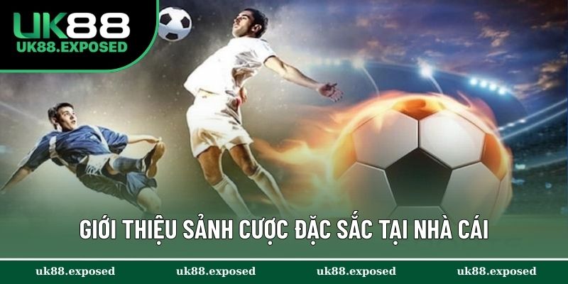Giới thiệu sảnh cược đặc sắc tại nhà cái
